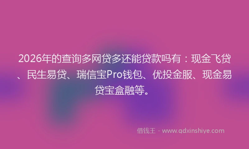 2026年的查询多网贷多还能贷款吗有：现金飞贷、民生易贷、瑞信宝Pro钱包、优投金服、现金易贷宝盒融等。