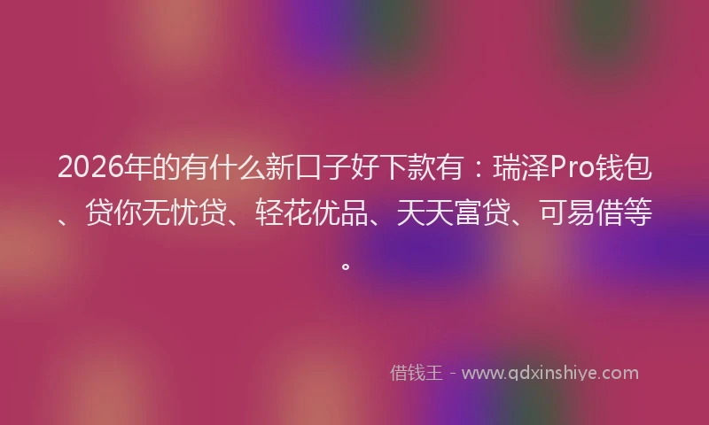 2026年的有什么新口子好下款有:瑞泽Pro钱包、贷你无忧贷、轻花优品、天天富贷、可易借等。