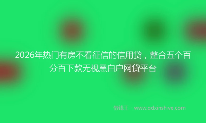 2026年热门有房不看征信的信用贷，整合五个百分百下款无视黑白户网贷平台
