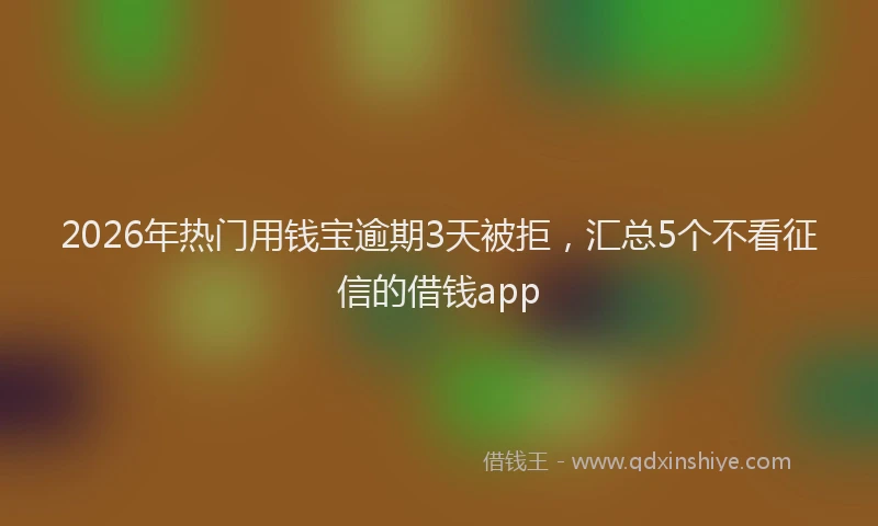 2026年热门用钱宝逾期3天被拒，汇总5个不看征信的借钱app