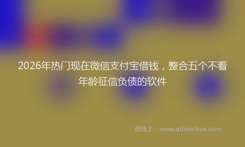 2026年热门现在微信支付宝借钱，整合五个不看年龄征信负债的软件