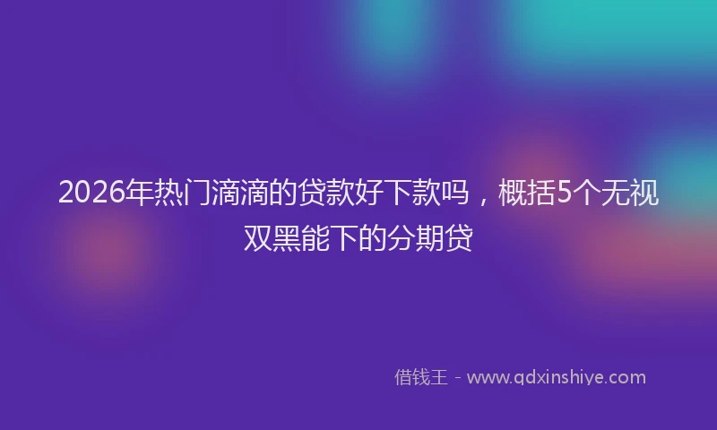 2026年热门滴滴的贷款好下款吗，概括5个无视双黑能下的分期贷