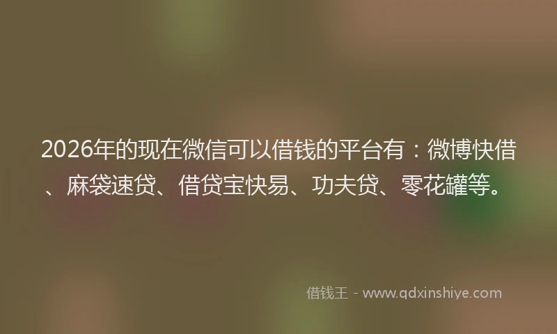 2026年的现在微信可以借钱的平台有：微博快借、麻袋速贷、借贷宝快易、功夫贷、零花罐等。