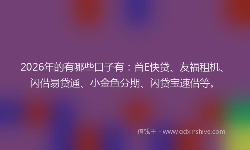 2026年的有哪些口子有：首E快贷、友福租机、闪借易贷通、小金鱼分期、闪贷宝速借等。