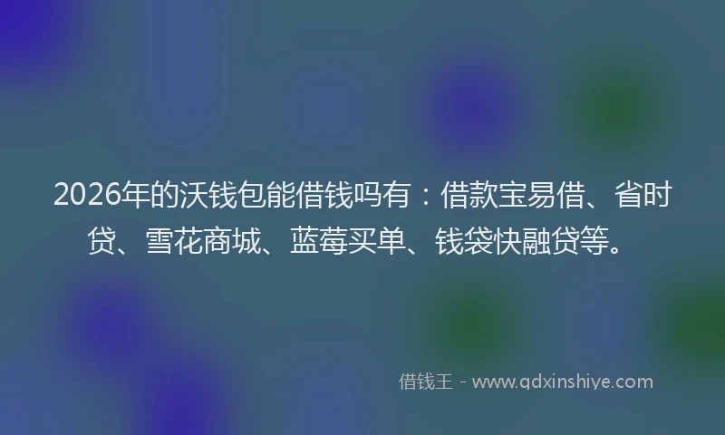 2026年的沃钱包能借钱吗有：借款宝易借、省时贷、雪花商城、蓝莓买单、钱袋快融贷等。
