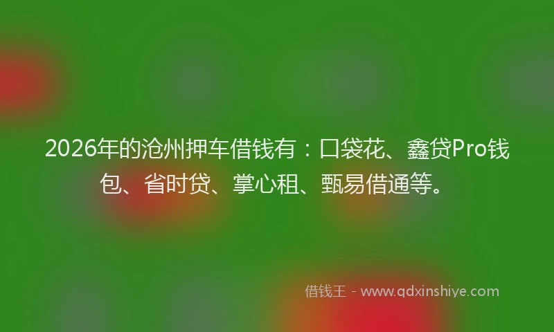 2026年的沧州押车借钱有:口袋花、鑫贷Pro钱包、省时贷、掌心租、甄易借通等。