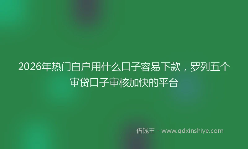 2026年热门白户用什么口子容易下款，罗列五个审贷口子审核加快的平台