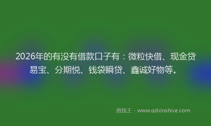 2026年的有没有借款口子有：微粒快借、现金贷易宝、分期悦、钱袋瞬贷、鑫诚好物等。
