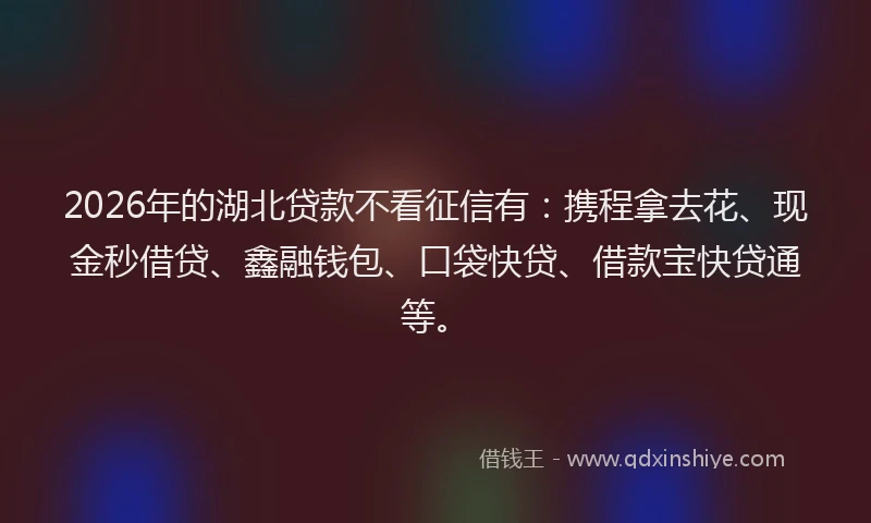2026年的湖北贷款不看征信有:携程拿去花、现金秒借贷、鑫融钱包、口袋快贷、借款宝快贷通等。