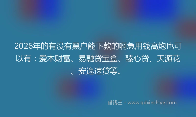 2026年的有没有黑户能下款的啊急用钱高炮也可以有：爱木财富、易融贷宝盒、臻心贷、天源花、安逸速贷等。