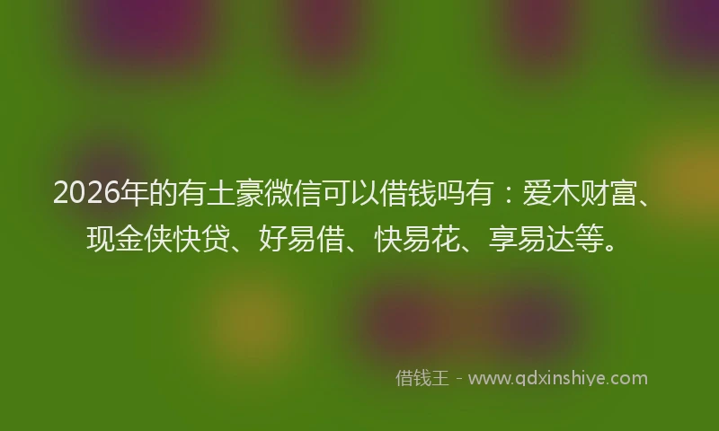 2026年的有土豪微信可以借钱吗有：爱木财富、现金侠快贷、好易借、快易花、享易达等。