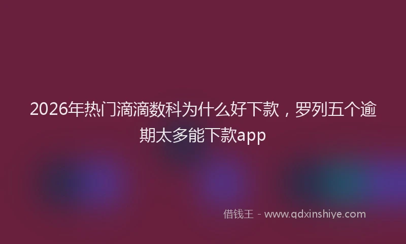 2026年热门滴滴数科为什么好下款，罗列五个逾期太多能下款app