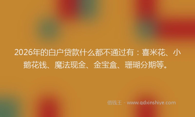 2026年的白户贷款什么都不通过有：喜米花、小鹅花钱、魔法现金、金宝盒、珊瑚分期等。