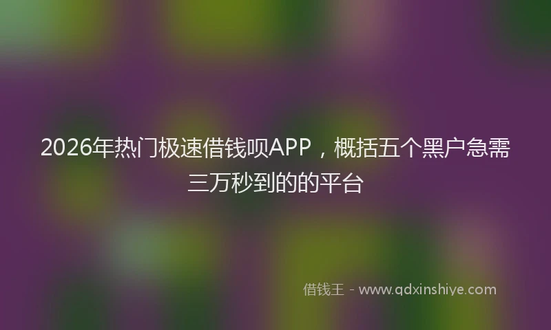2026年热门极速借钱呗APP，概括五个黑户急需三万秒到的的平台