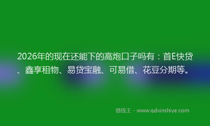 2026年的现在还能下的高炮口子吗有：首E快贷、鑫享租物、易贷宝融、可易借、花豆分期等。