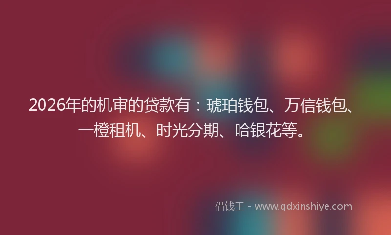 2026年的机审的贷款有：琥珀钱包、万信钱包、一橙租机、时光分期、哈银花等。