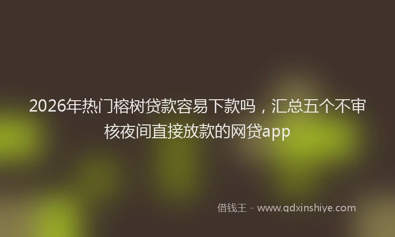 2026年热门榕树贷款容易下款吗，汇总五个不审核夜间直接放款的网贷app