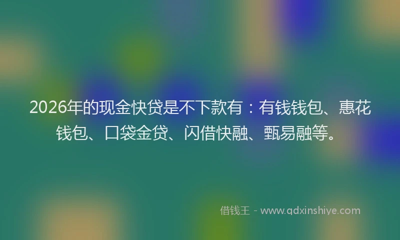 2026年的现金快贷是不下款有:有钱钱包、惠花钱包、口袋金贷、闪借快融、甄易融等。