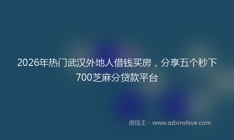 2026年热门武汉外地人借钱买房，分享五个秒下700芝麻分贷款平台