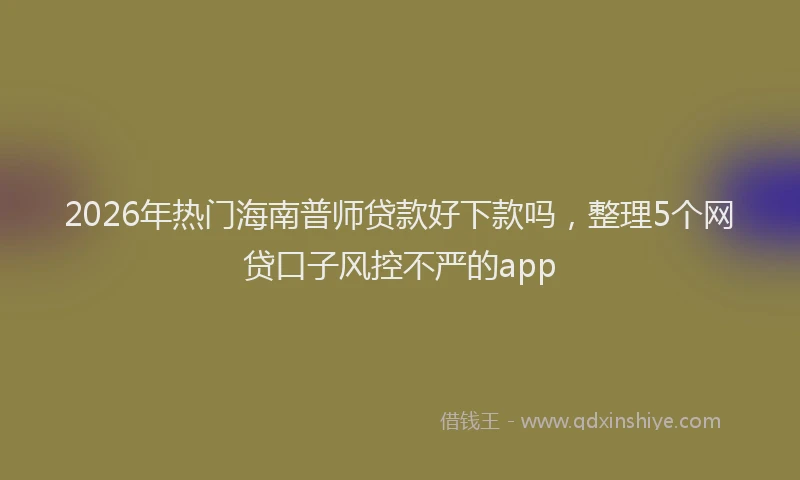 2026年热门海南普师贷款好下款吗，整理5个网贷口子风控不严的app