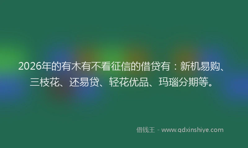 2026年的有木有不看征信的借贷有：新机易购、三枝花、还易贷、轻花优品、玛瑙分期等。