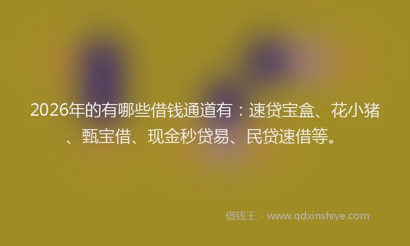 2026年的有哪些借钱通道有：速贷宝盒、花小猪、甄宝借、现金秒贷易、民贷速借等。