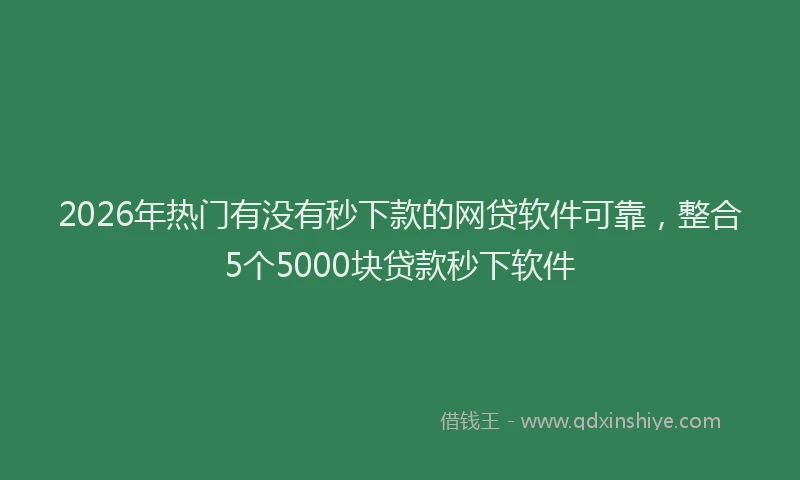 2026年热门有没有秒下款的网贷软件可靠，整合5个5000块贷款秒下软件