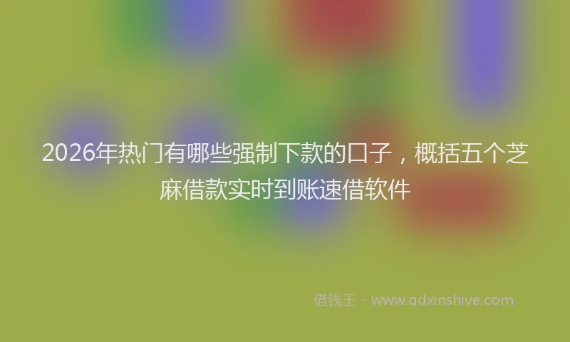 2026年热门有哪些强制下款的口子，概括五个芝麻借款实时到账速借软件