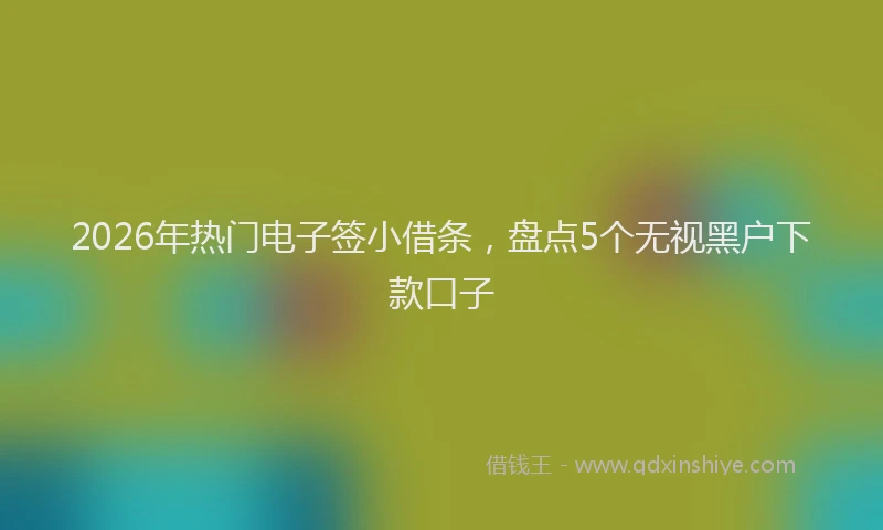 2026年热门电子签小借条，盘点5个无视黑户下款口子