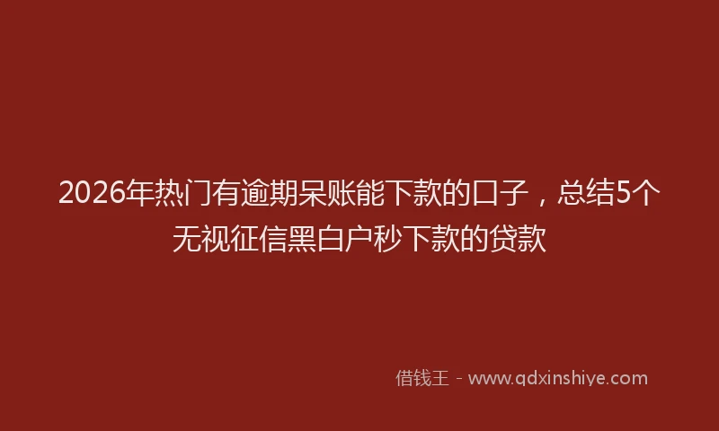 2026年热门有逾期呆账能下款的口子，总结5个无视征信黑白户秒下款的贷款