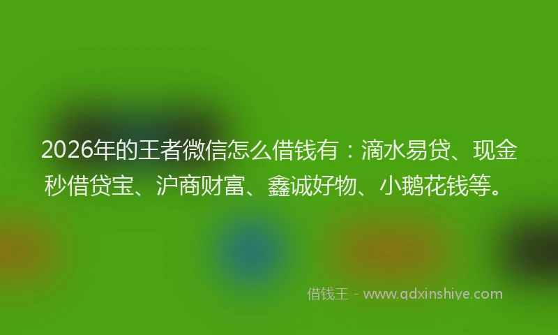 2026年的王者微信怎么借钱有：滴水易贷、现金秒借贷宝、沪商财富、鑫诚好物、小鹅花钱等。