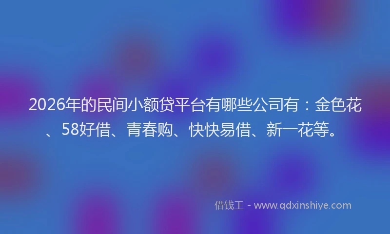 2026年的民间小额贷平台有哪些公司有：金色花、58好借、青春购、快快易借、新一花等。