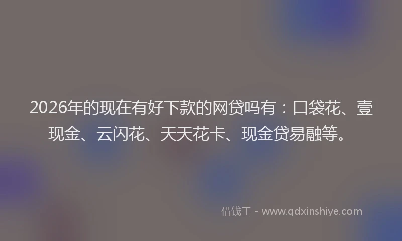 2026年的现在有好下款的网贷吗有：口袋花、壹现金、云闪花、天天花卡、现金贷易融等。