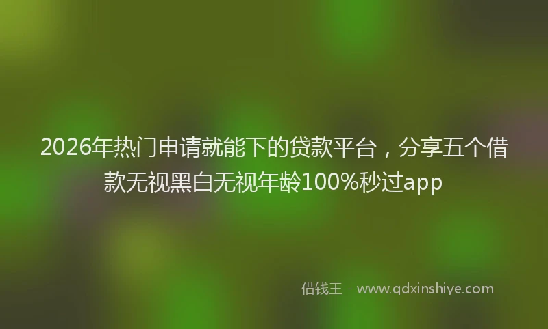 2026年热门申请就能下的贷款平台，分享五个借款无视黑白无视年龄100%秒过app