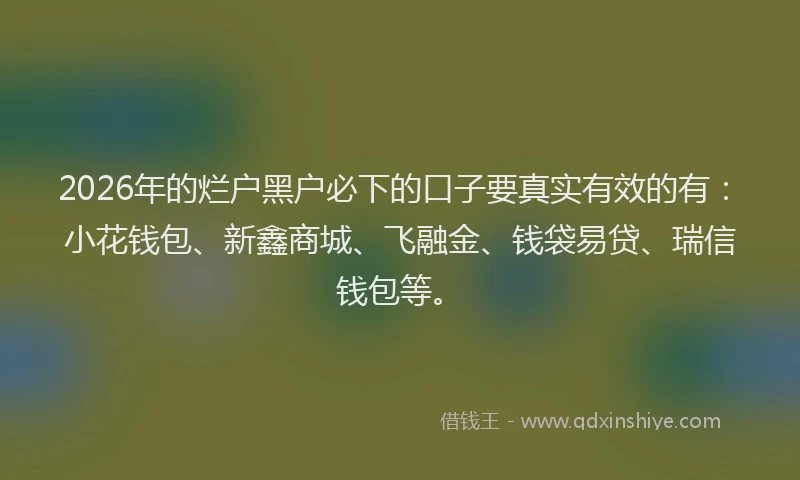 2026年的烂户黑户必下的口子要真实有效的有：小花钱包、新鑫商城、飞融金、钱袋易贷、瑞信钱包等。