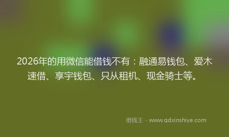 2026年的用微信能借钱不有：融通易钱包、爱木速借、享宇钱包、只从租机、现金骑士等。
