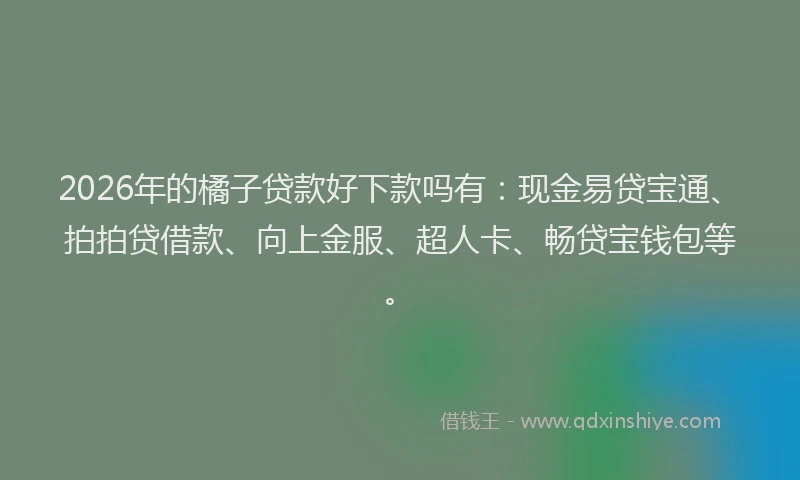 2026年的橘子贷款好下款吗有：现金易贷宝通、拍拍贷借款、向上金服、超人卡、畅贷宝钱包等。