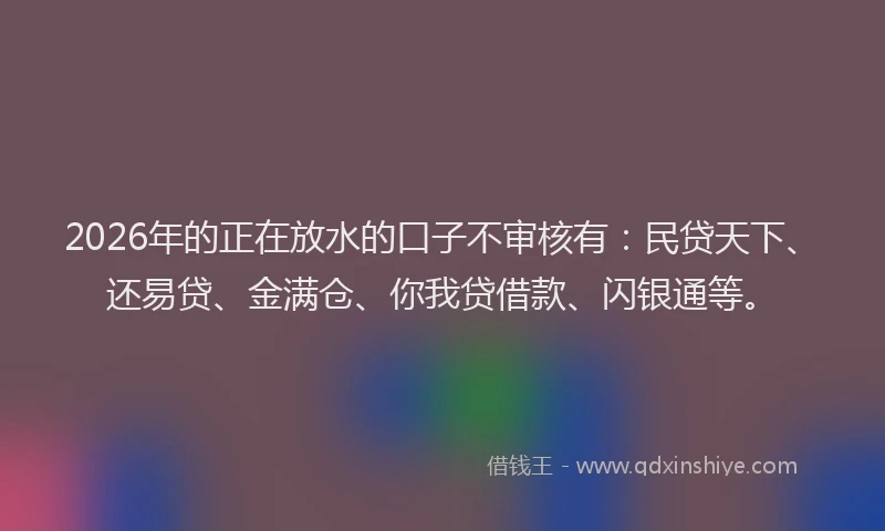 2026年的正在放水的口子不审核有：民贷天下、还易贷、金满仓、你我贷借款、闪银通等。