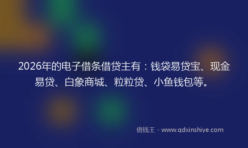 2026年的电子借条借贷主有:钱袋易贷宝、现金易贷、白象商城、粒粒贷、小鱼钱包等。