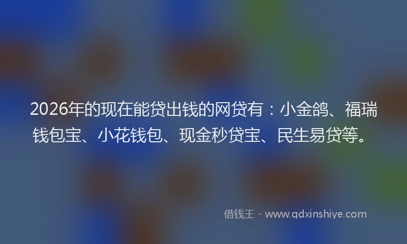 2026年的现在能贷出钱的网贷有：小金鸽、福瑞钱包宝、小花钱包、现金秒贷宝、民生易贷等。