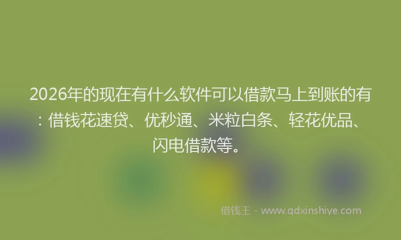 2026年的现在有什么软件可以借款马上到账的有：借钱花速贷、优秒通、米粒白条、轻花优品、闪电借款等。