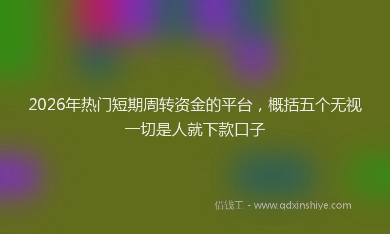 2026年热门短期周转资金的平台，概括五个无视一切是人就下款口子
