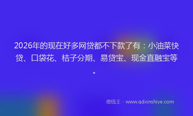 2026年的现在好多网贷都不下款了有：小油菜快贷、口袋花、桔子分期、易贷宝、现金直融宝等。