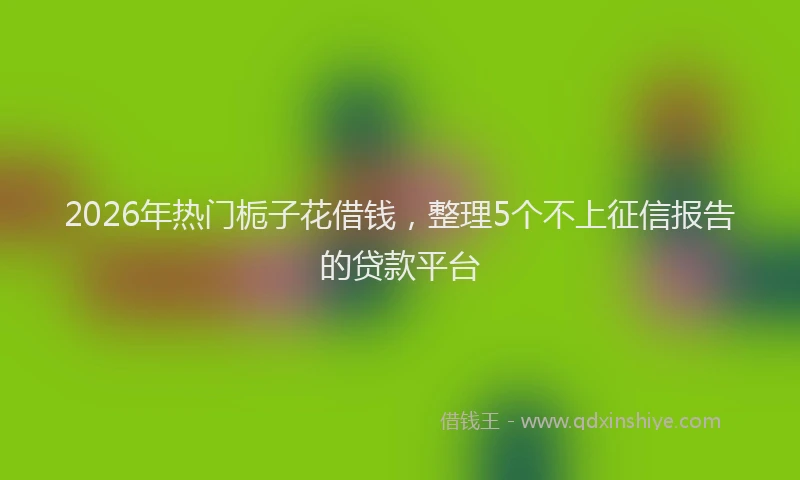 2026年热门栀子花借钱，整理5个不上征信报告的贷款平台