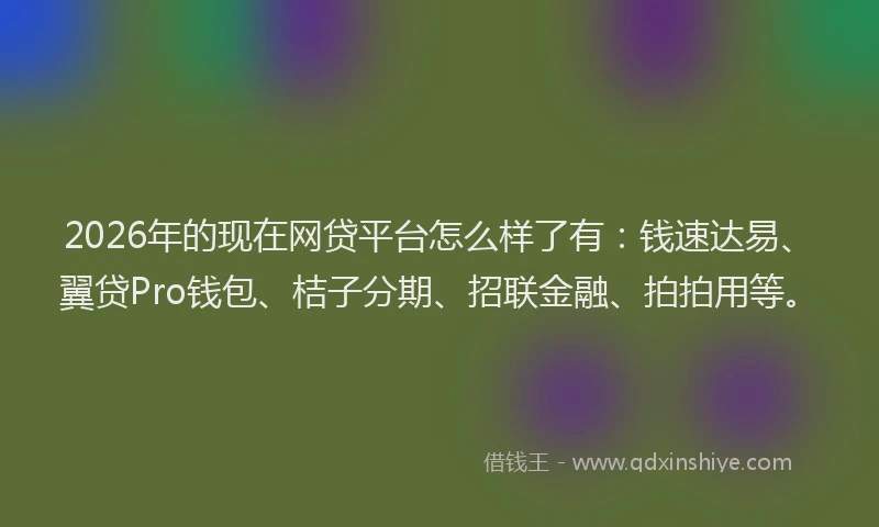 2026年的现在网贷平台怎么样了有：钱速达易、翼贷Pro钱包、桔子分期、招联金融、拍拍用等。