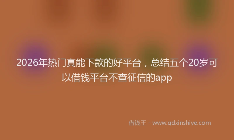 2026年热门真能下款的好平台，总结五个20岁可以借钱平台不查征信的app