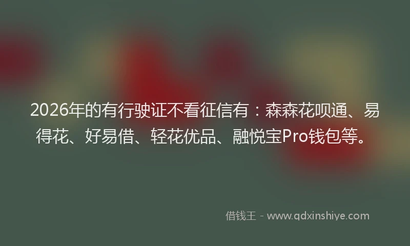 2026年的有行驶证不看征信有:森森花呗通、易得花、好易借、轻花优品、融悦宝Pro钱包等。