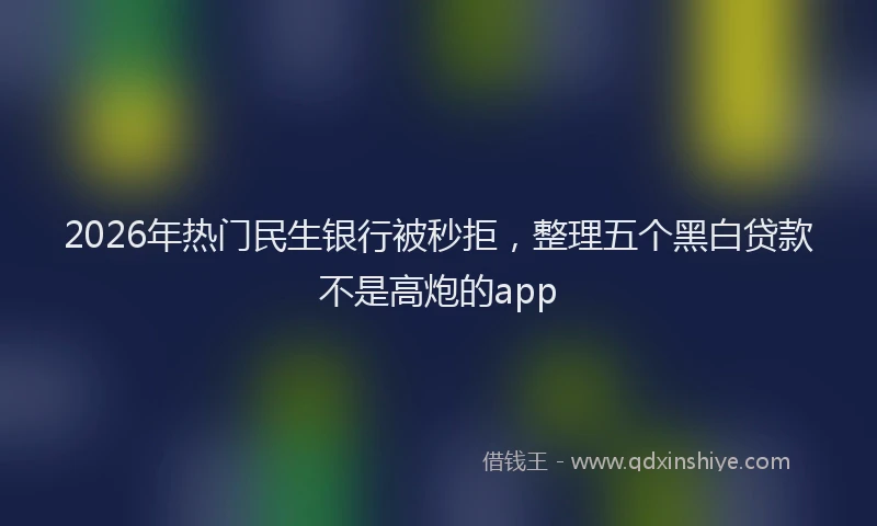 2026年热门民生银行被秒拒，整理五个黑白贷款不是高炮的app