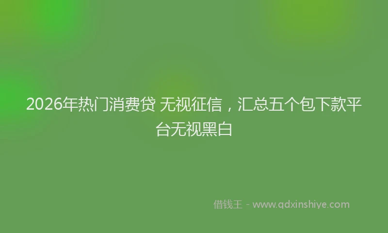 2026年热门消费贷 无视征信，汇总五个包下款平台无视黑白