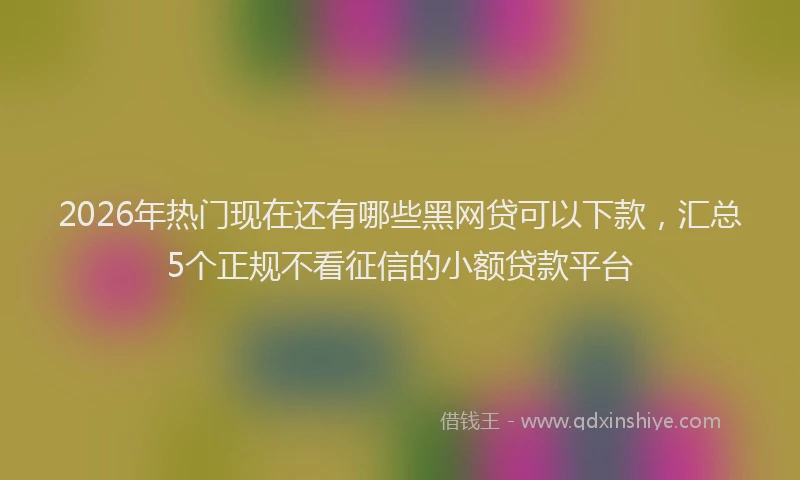 2026年热门现在还有哪些黑网贷可以下款，汇总5个正规不看征信的小额贷款平台